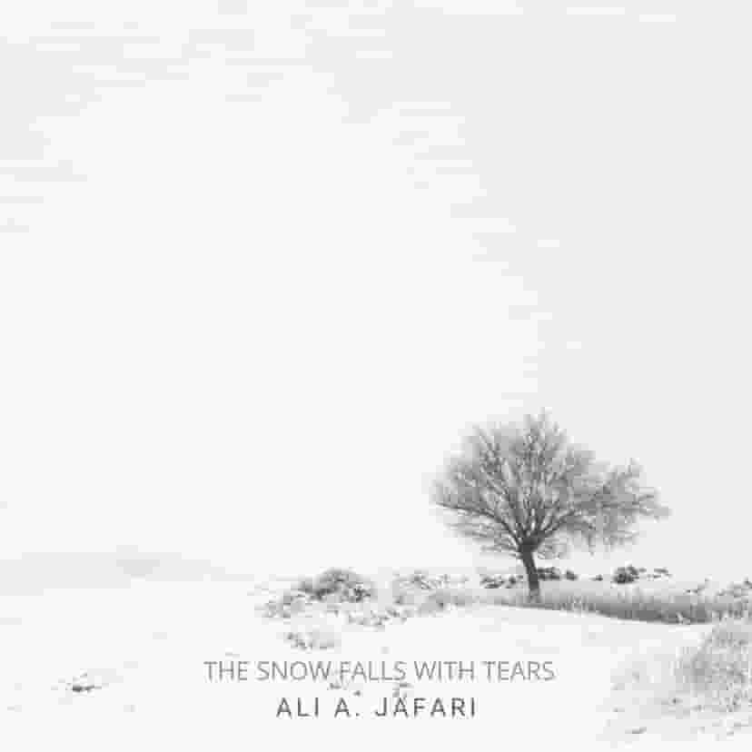 The Snow Falls with Tears — A Soundtrack for Silent Heartbreak