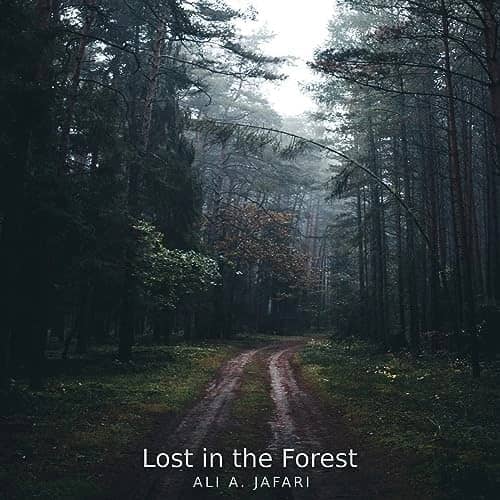 Lost in the Forest