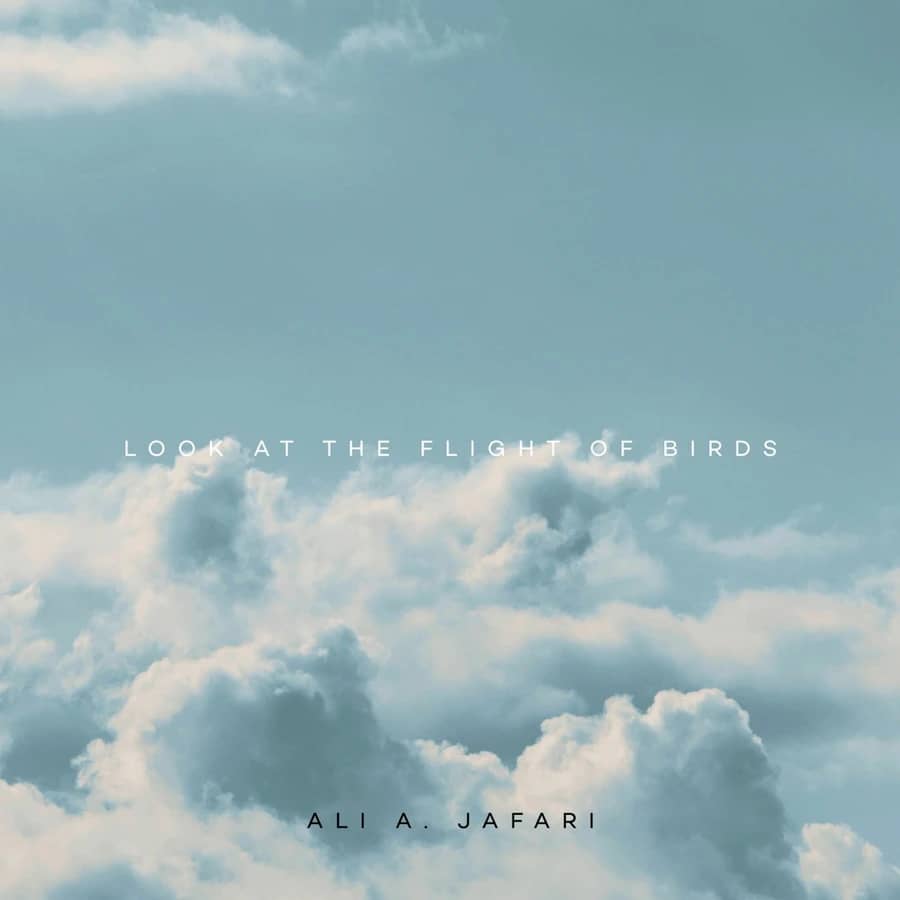 Look at the Flight of Birds