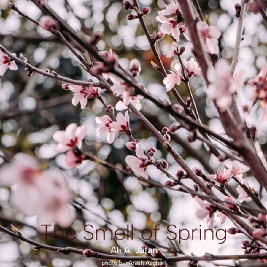 The Smell of Spring