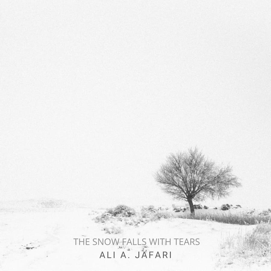 The Snow Falls with Tears Music Cover