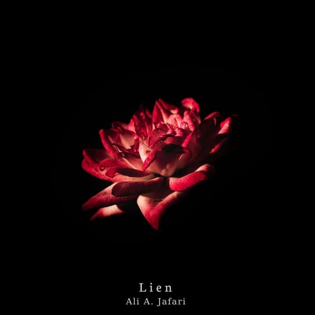 Lien Music Cover