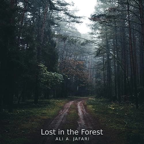 Lost in the Forest Music Cover