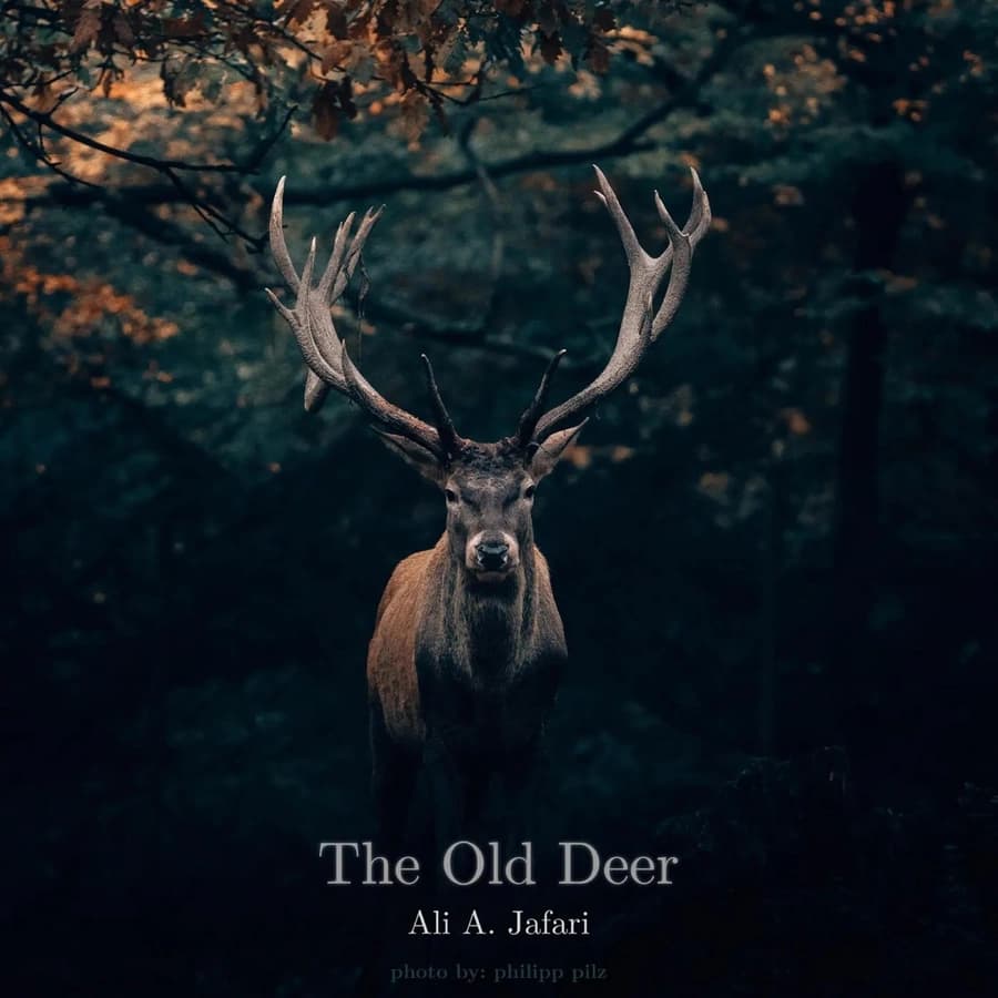 The Old Deer Music Cover