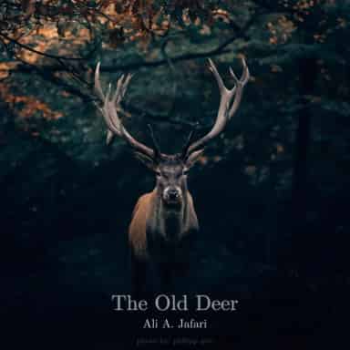 The Old Deer