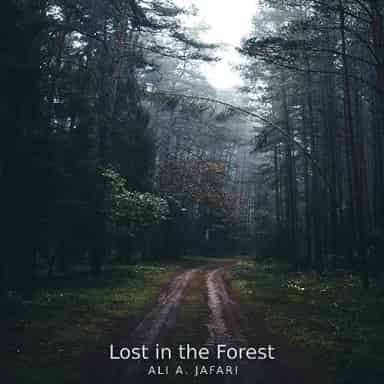 Lost in the Forest