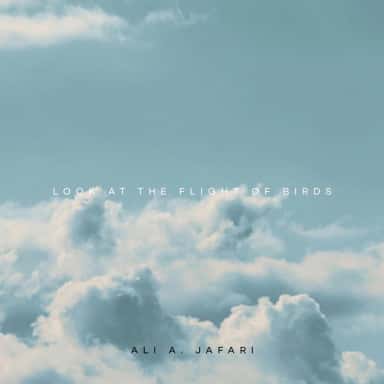 Look at the Flight of Birds