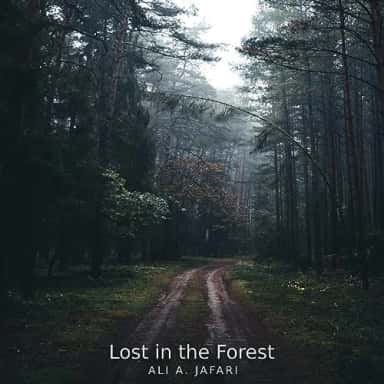 Lost in the Forest