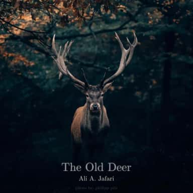 The Old Deer