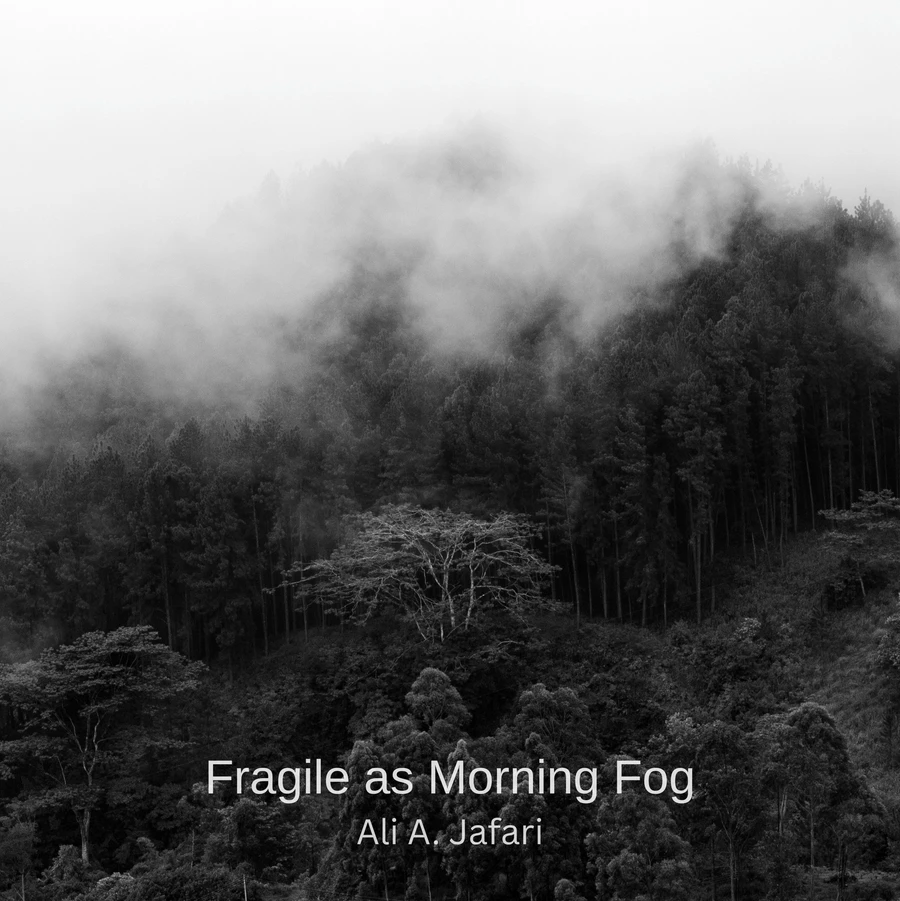 Fragile as Morning Fog — instrumental music by Ali A. Jafari